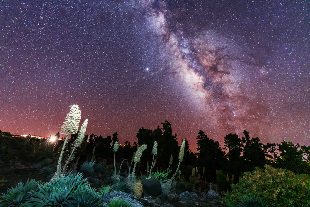 Teide bei Nacht - Die Milchstrasse in voller Pracht