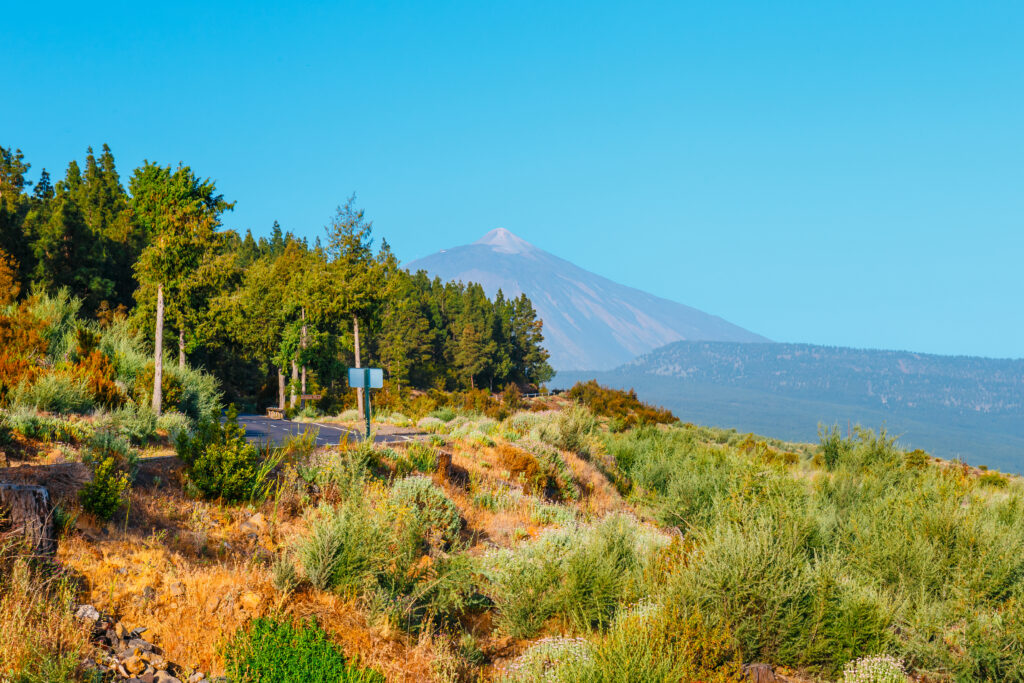 Esperanza Road - Panorama-Fahrt zum Teide Nationalpark